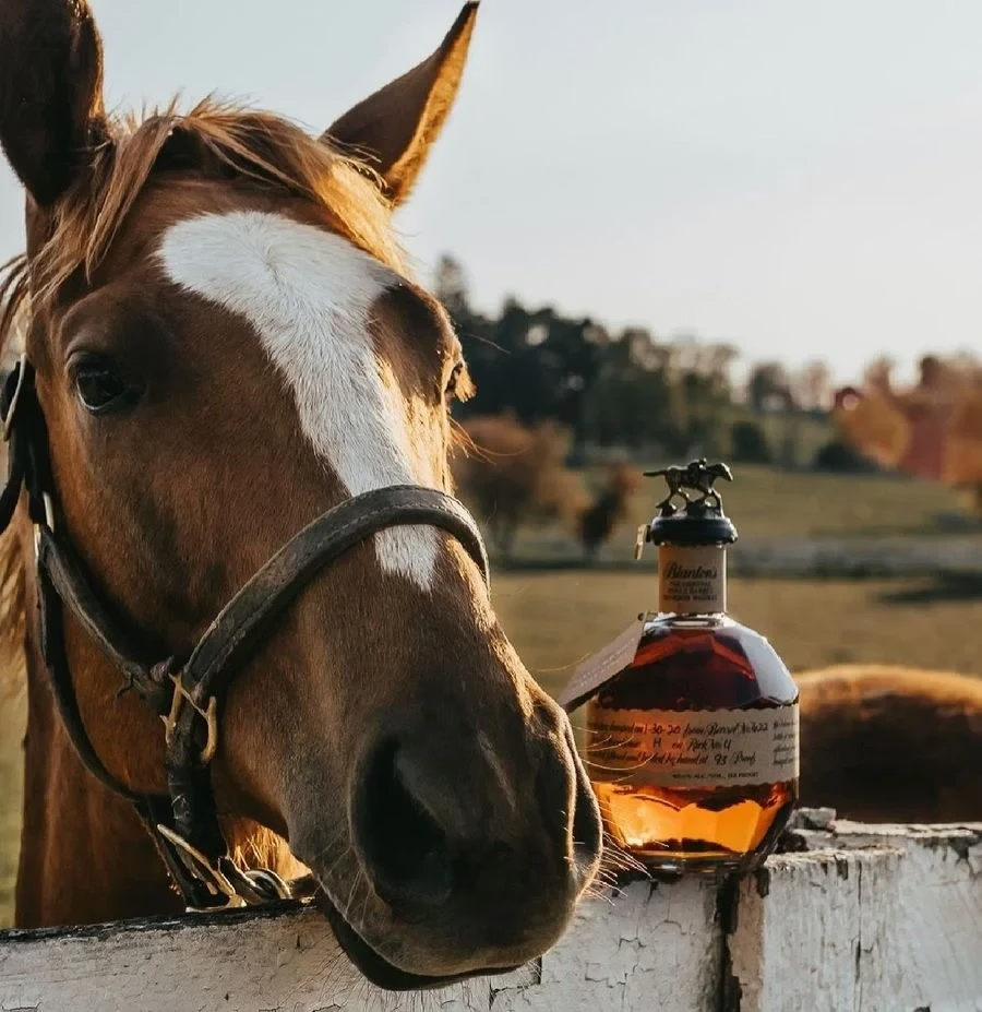 🔥50% Off Last Day🔥 Blanton's Horse Stopper & Horseshoe Display Sets