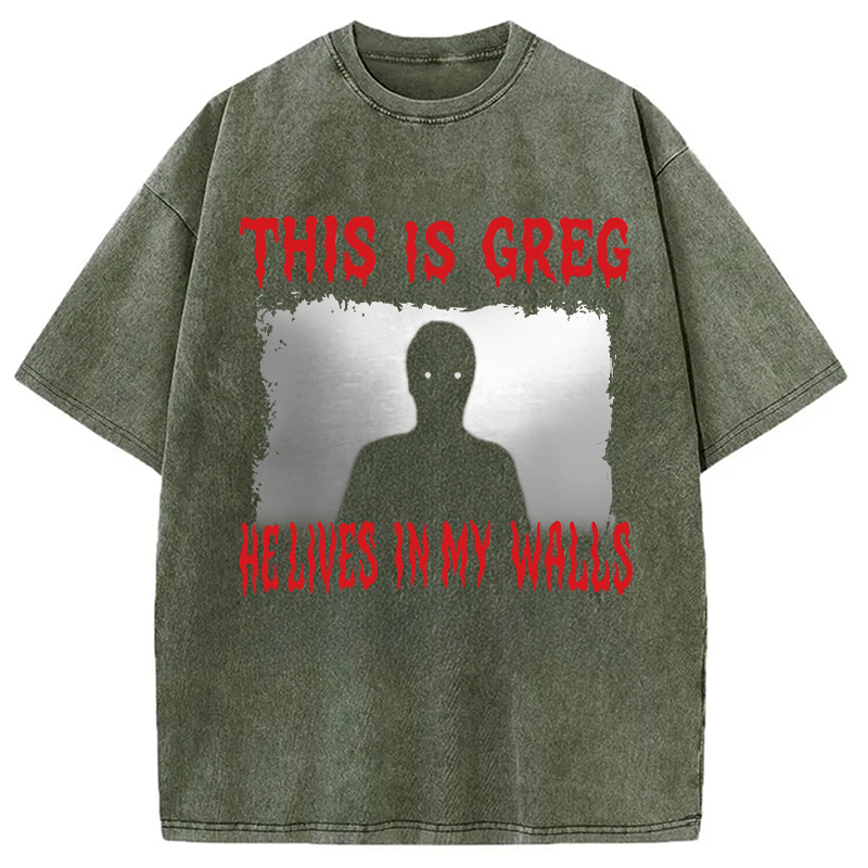Modecanvas This Is Greg Funny Schizo Meme DTG Printing Washed T-Shirt-modecanvas