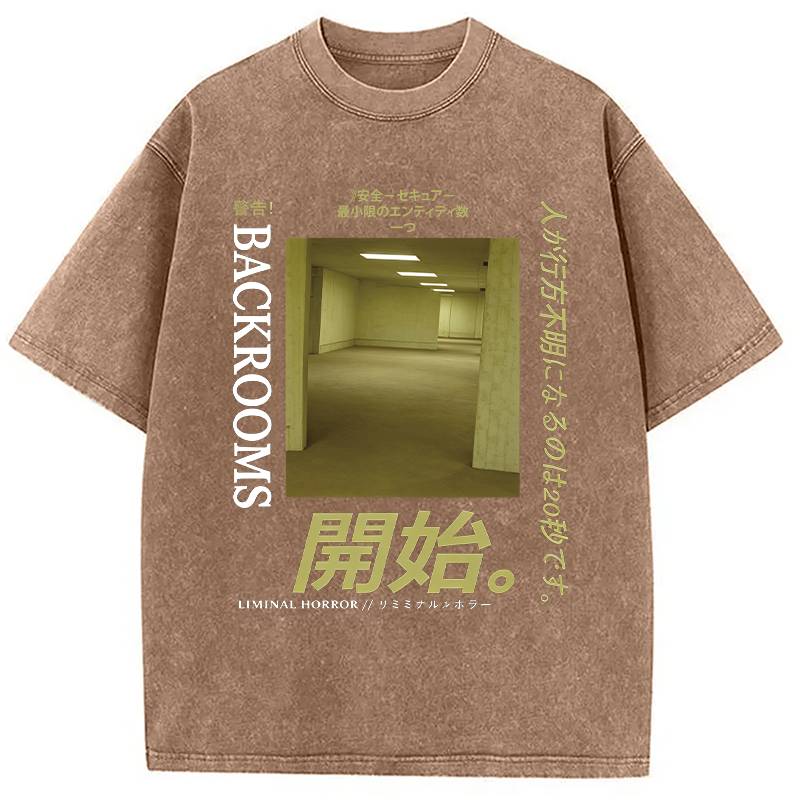 Modecanvas Backrooms Level 0 DTG Printing Washed T-Shirt-modecanvas