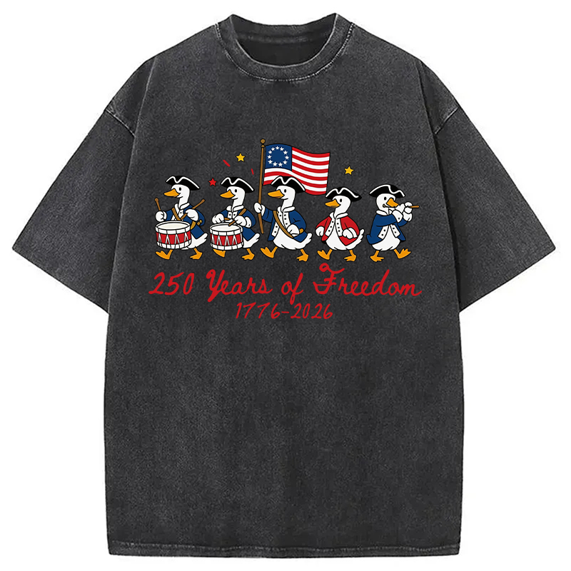 Modecanvas American 250th Anniversary Funny Goose DTG Printing Washed T-Shirt