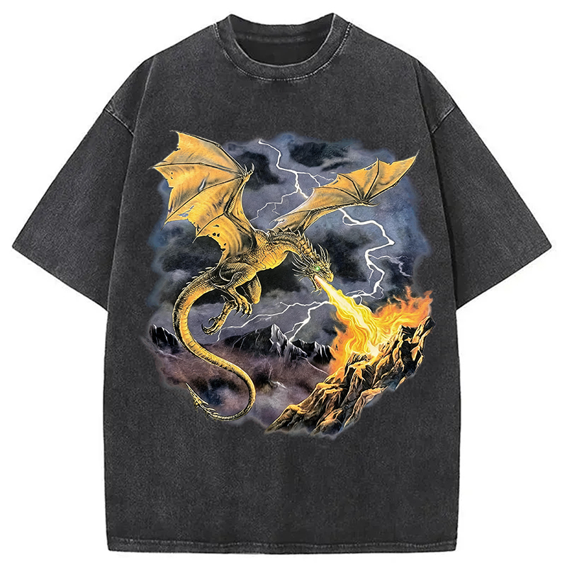 Modecanvas Vintage Dragon DTG Printing Washed T-Shirt