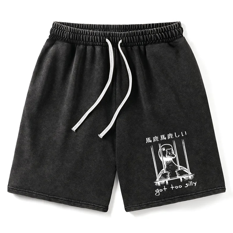 Modecanvas Got Too Silly Washed Shorts