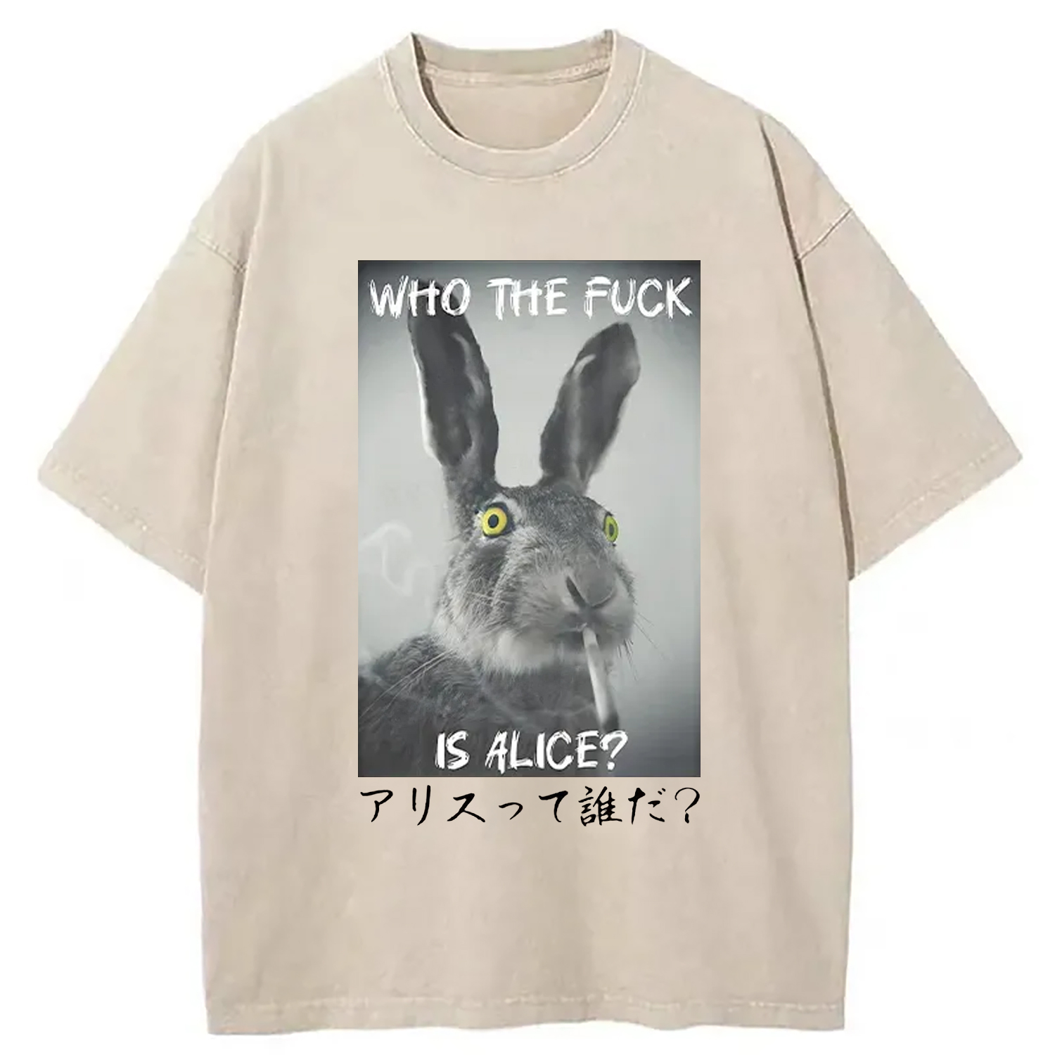 Modecanvas Who Is Alice? Washed T-Shirt