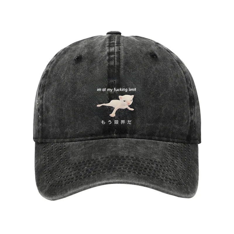 Modecanvas Cat Reaching Its Limit Washed Cap-modecanvas