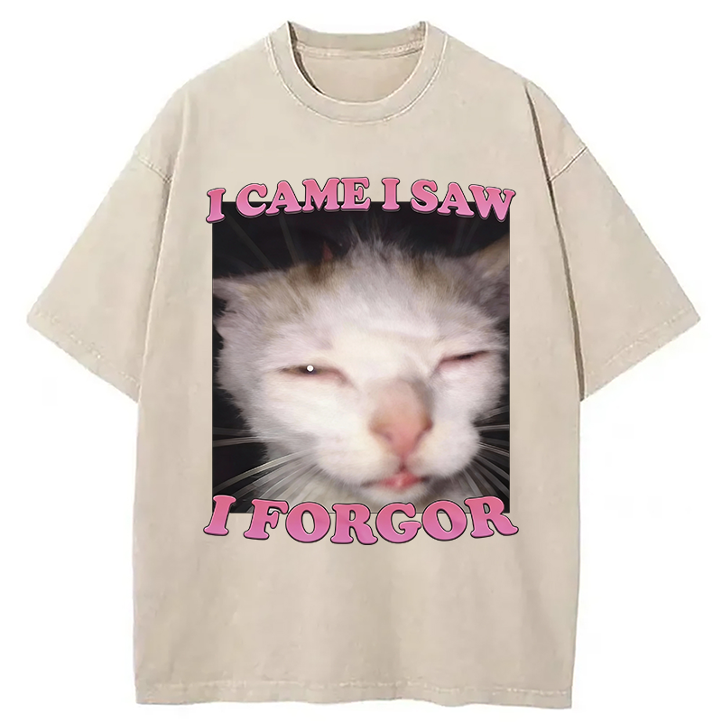 Modecanvas I Forgor Funny Cat Meme Washed T-Shirt-modecanvas