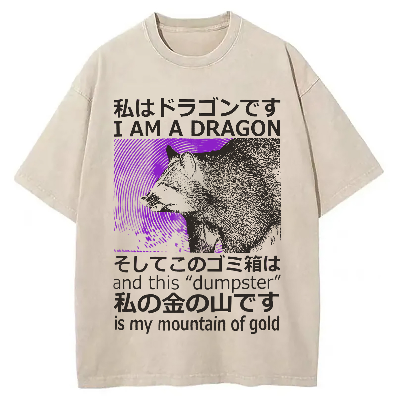 Modecanvas I Am A Dragon and this "Dumpster" is My Mountain of Gold DTG Printing Washed T-Shirt-modecanvas