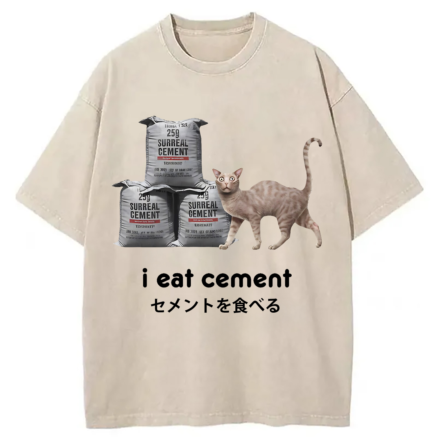 Modecanvas I Eat Cement Cursed Cat Washed T-Shirt