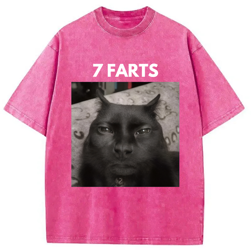 Modecanvas 7 Farts Silly Meme Cat Washed T-Shirt-modecanvas
