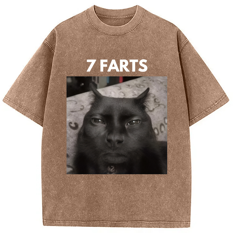 Modecanvas 7 Farts Silly Meme Cat Washed T-Shirt-modecanvas