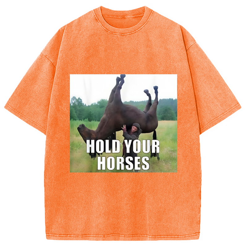 Modecanvas Hold Your Horses Funny Meme Washed T-Shirt