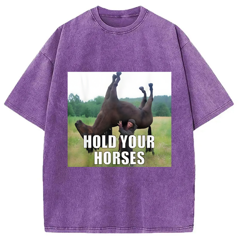 Modecanvas Hold Your Horses Funny Meme Washed T-Shirt