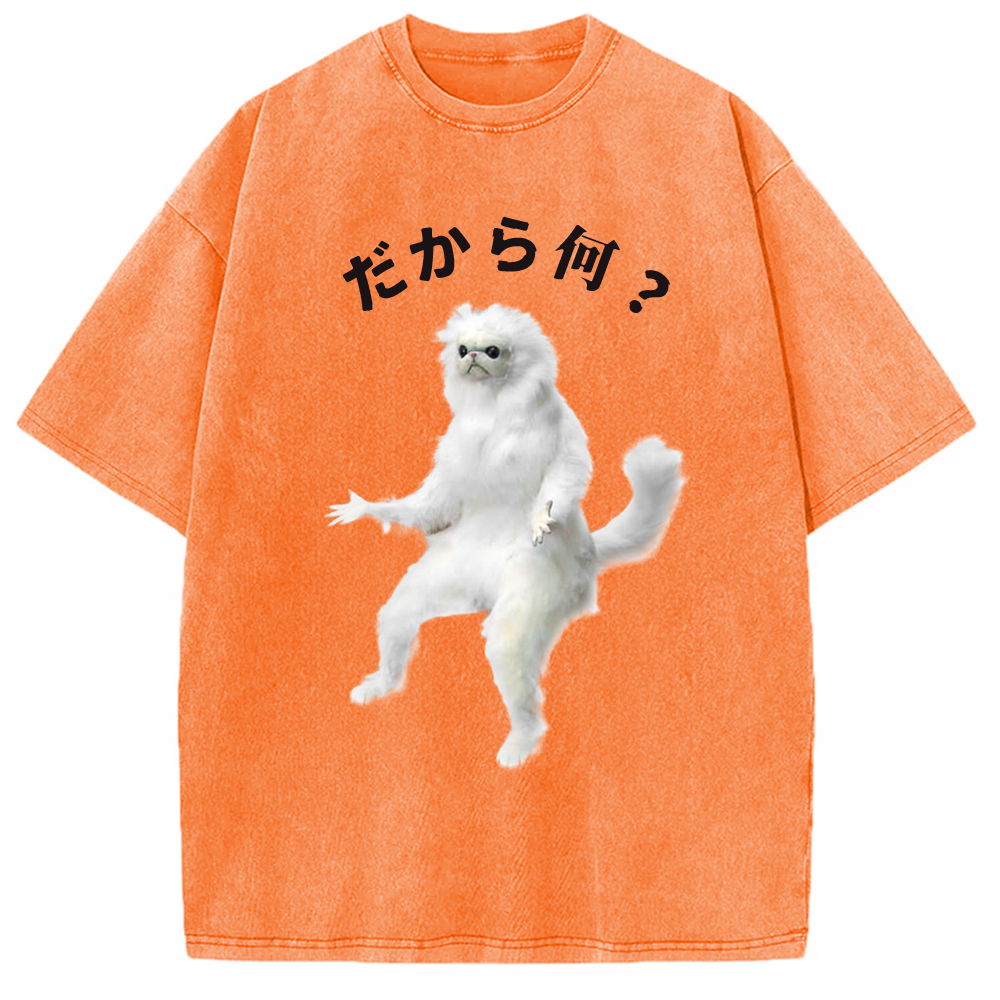 Modecanvas So What White Cat Meme Washed T-Shirt