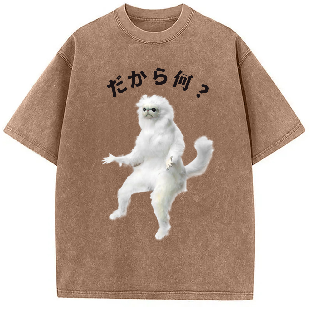 Modecanvas So What White Cat Meme Washed T-Shirt