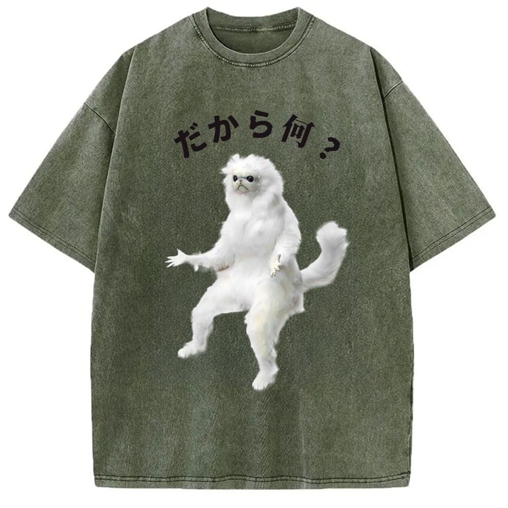 Modecanvas So What White Cat Meme Washed T-Shirt