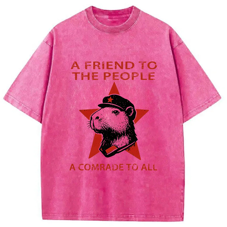 Modecanvas Capibalism Funny Washed T-Shirt