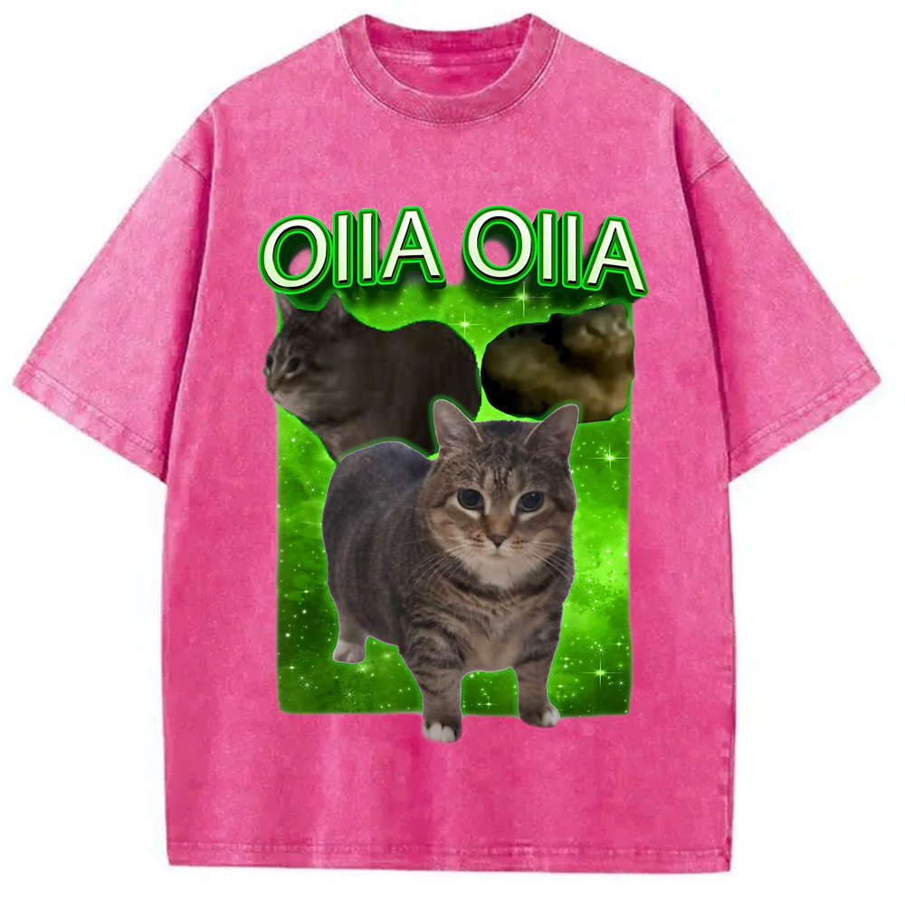 Modecanvas Oiia Cat Funny Meme Washed T-Shirt-modecanvas