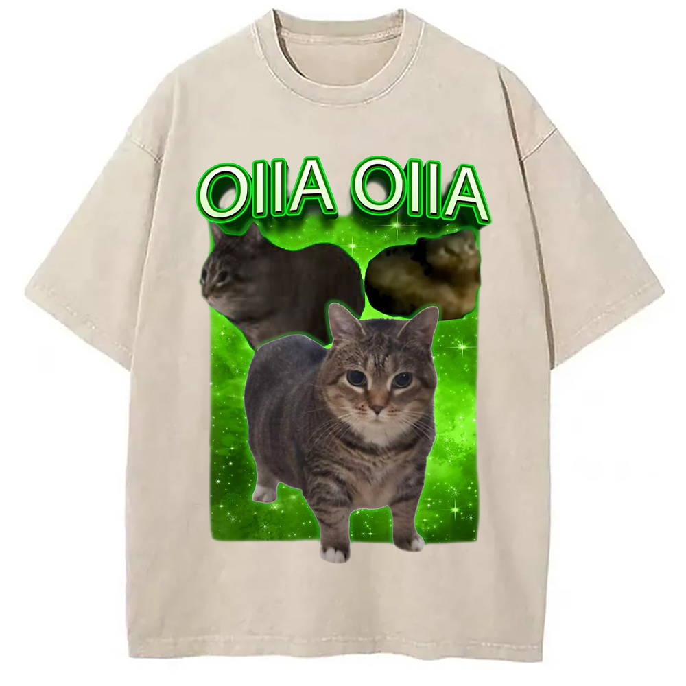 Modecanvas Oiia Cat Funny Meme Washed T-Shirt-modecanvas