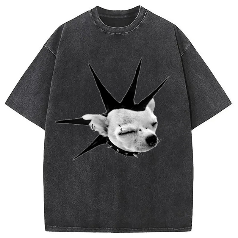 Modecanvas Funny Collar Dog Meme Washed T-Shirt