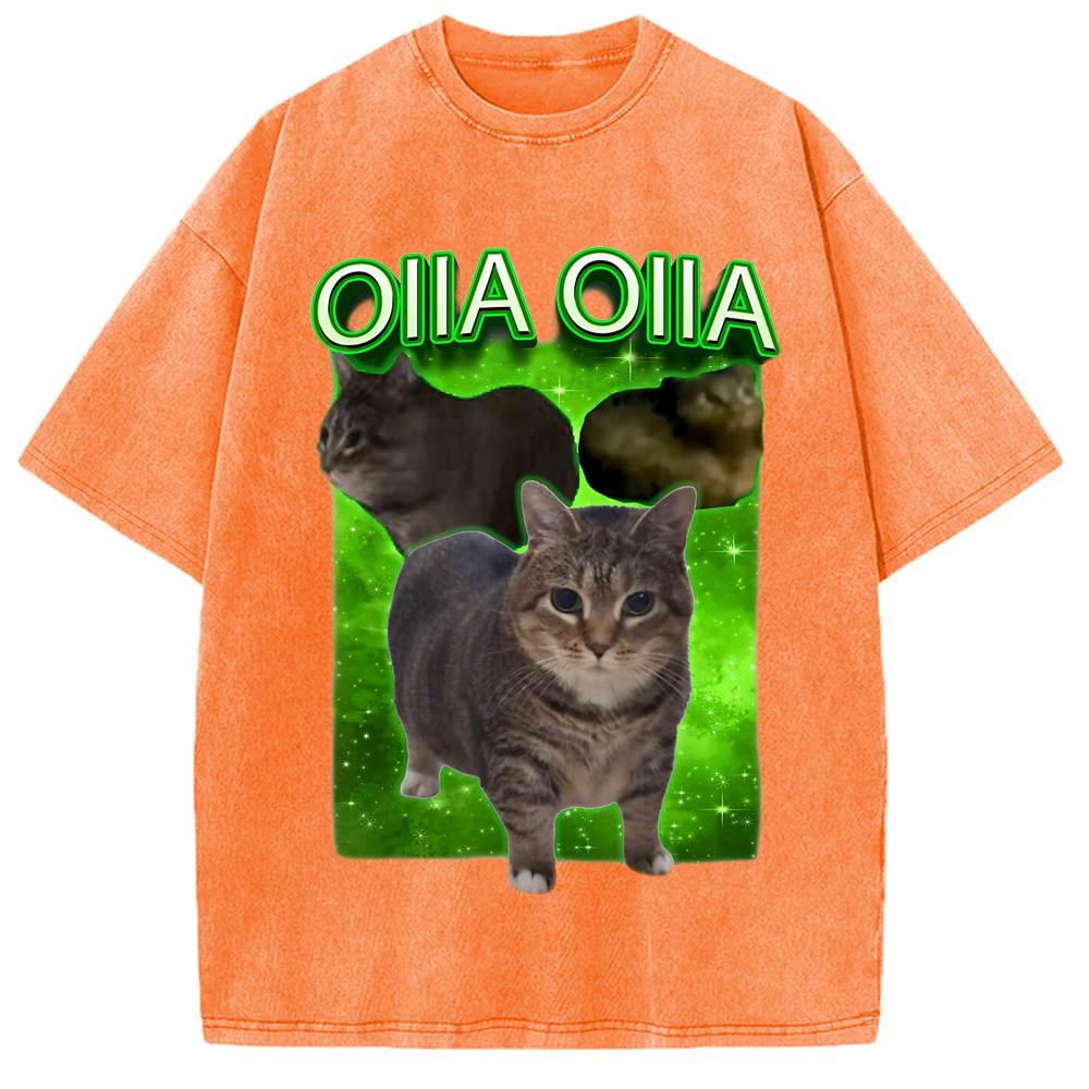 Modecanvas Oiia Cat Funny Meme Washed T-Shirt-modecanvas
