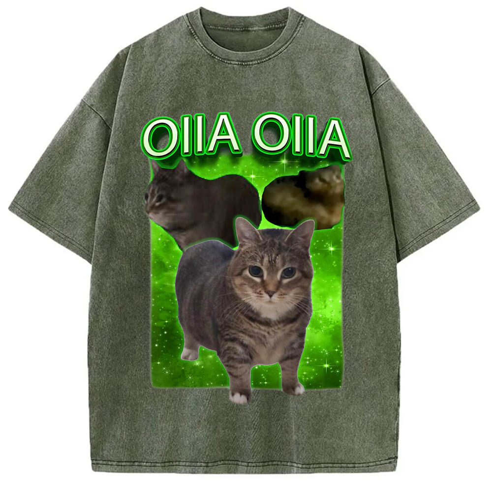 Modecanvas Oiia Cat Funny Meme Washed T-Shirt-modecanvas