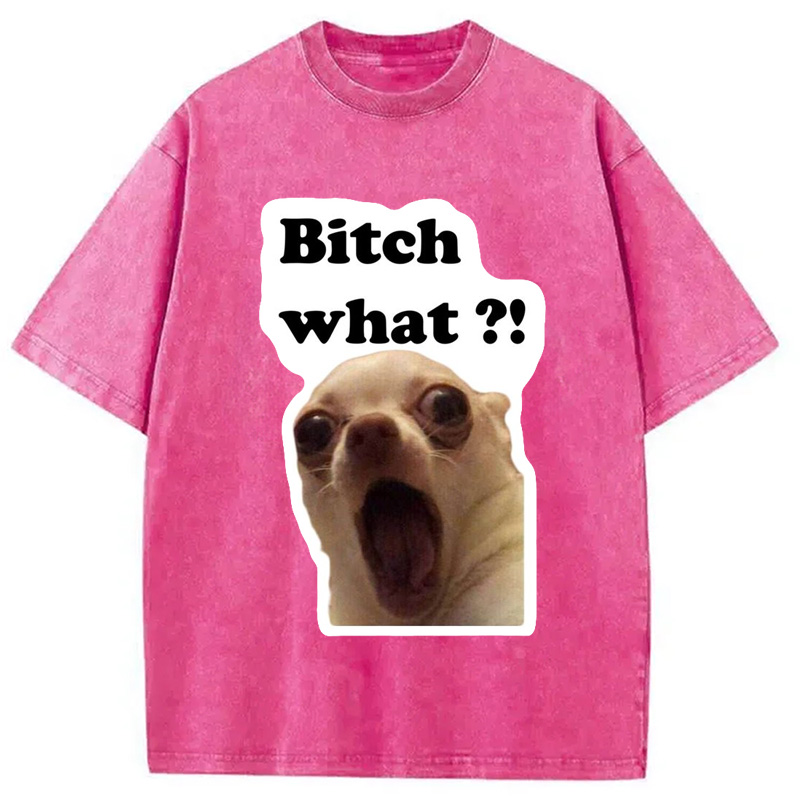 Modecanvas Funny Dog Face Meme Washed T-Shirt