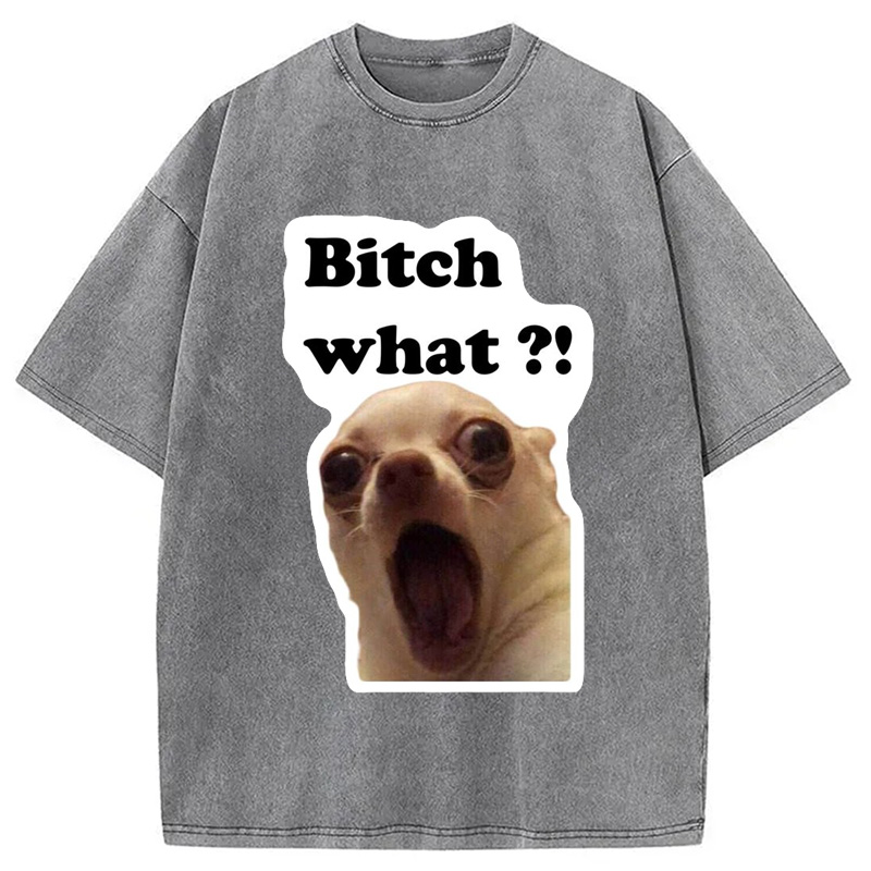 Modecanvas Funny Dog Face Meme Washed T-Shirt