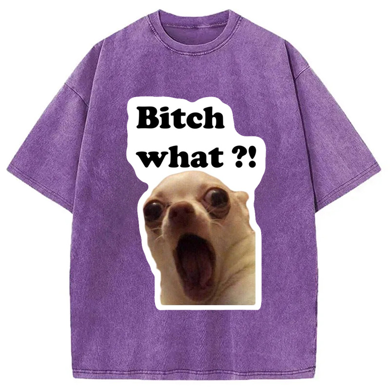Modecanvas Funny Dog Face Meme Washed T-Shirt