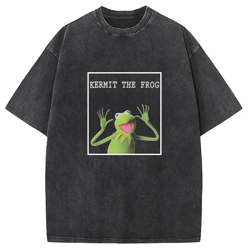 Modecanvas The Frog Meme Washed T-Shirt