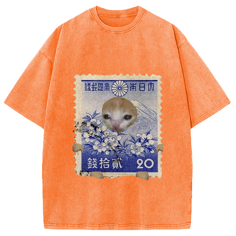 Modecanvas Ukiyo-e Cat Meme Washed T-Shirt