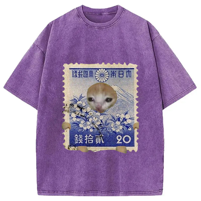 Modecanvas Ukiyo-e Cat Meme Washed T-Shirt