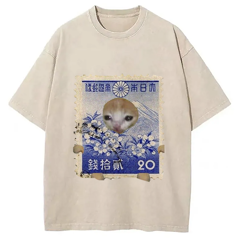 Modecanvas Ukiyo-e Cat Meme Washed T-Shirt