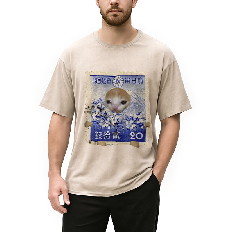 Modecanvas Ukiyo-e Cat Meme Washed T-Shirt