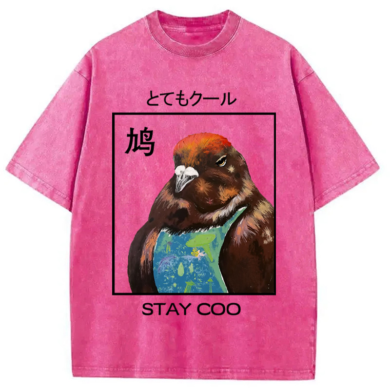 Modecanvas Stay Cool Pigeon Washed T-Shirt