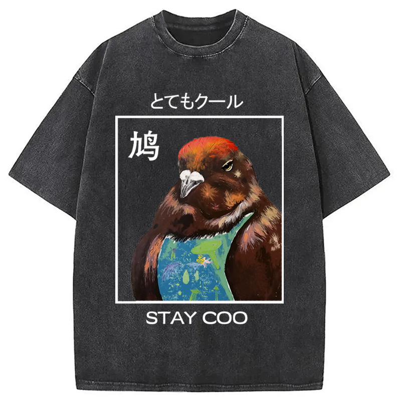 Modecanvas Stay Cool Pigeon Washed T-Shirt
