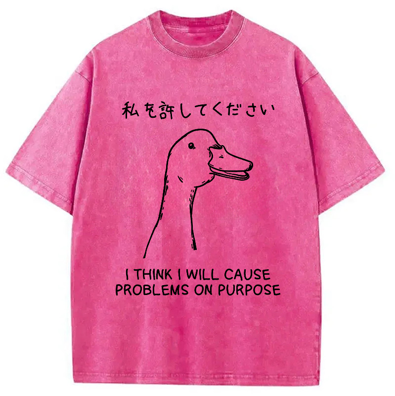 Modecanvas Stupid Goose Funny Japan Washed T-Shirt