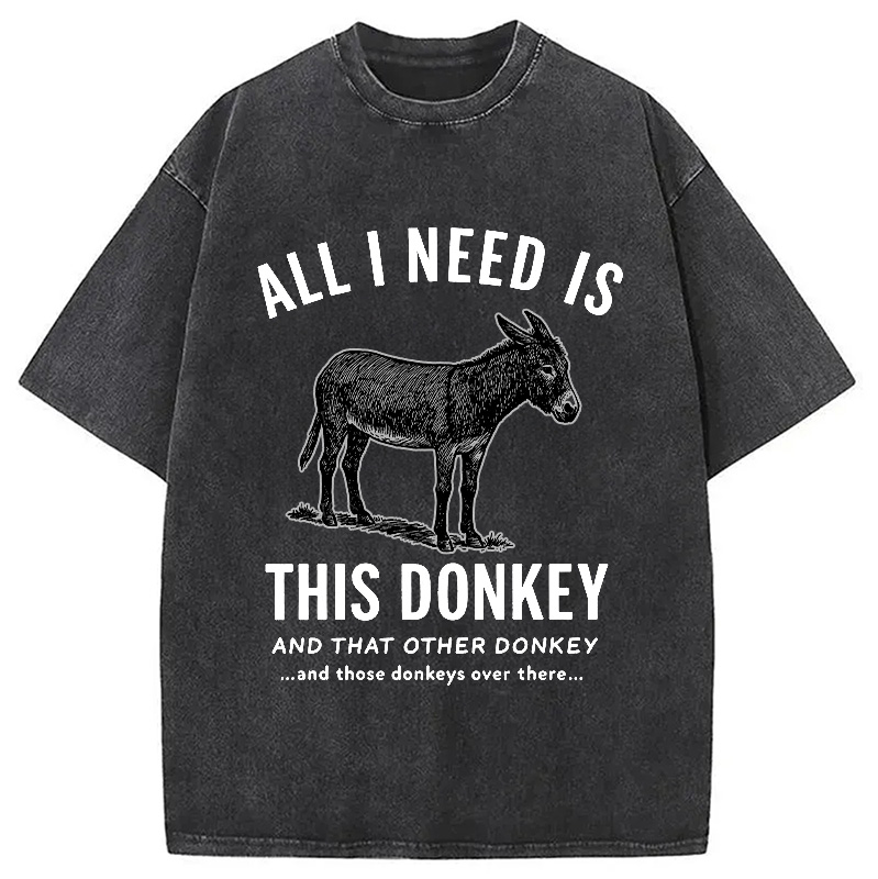Modecanvas I Need All The Donkeys Washed T-Shirt