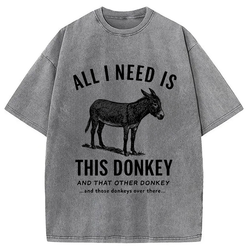 Modecanvas I Need All The Donkeys Washed T-Shirt