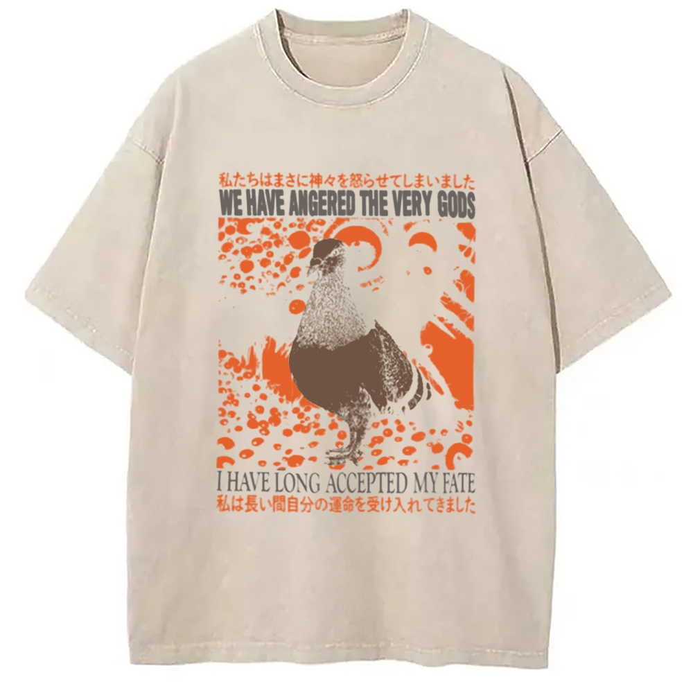 Modecanvas We Have Angered The Very Gods Washed T-Shirt