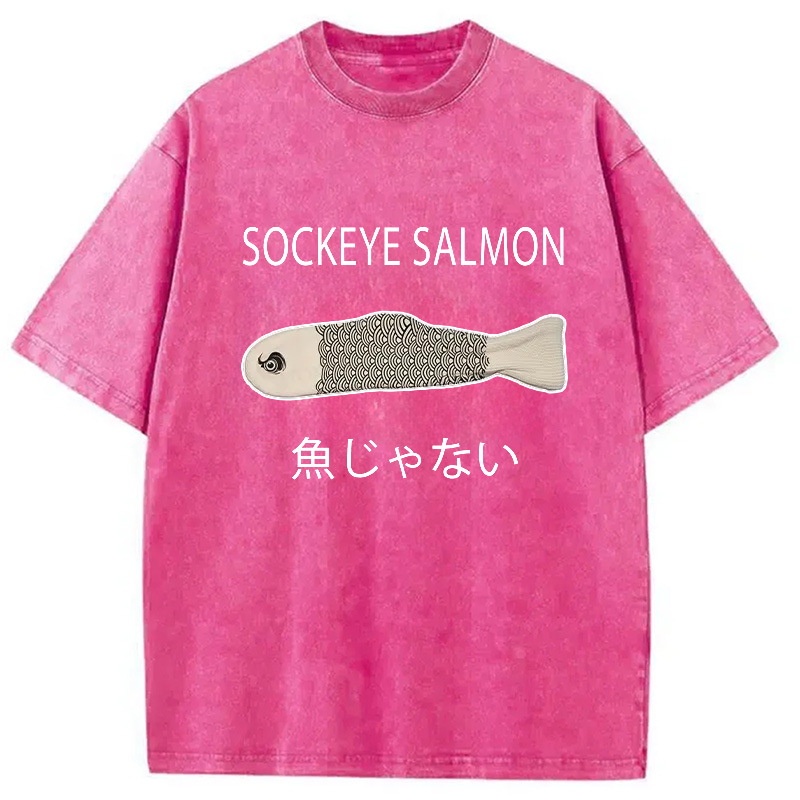 Modecanvas Sockeye Salmon Washed T-Shirt