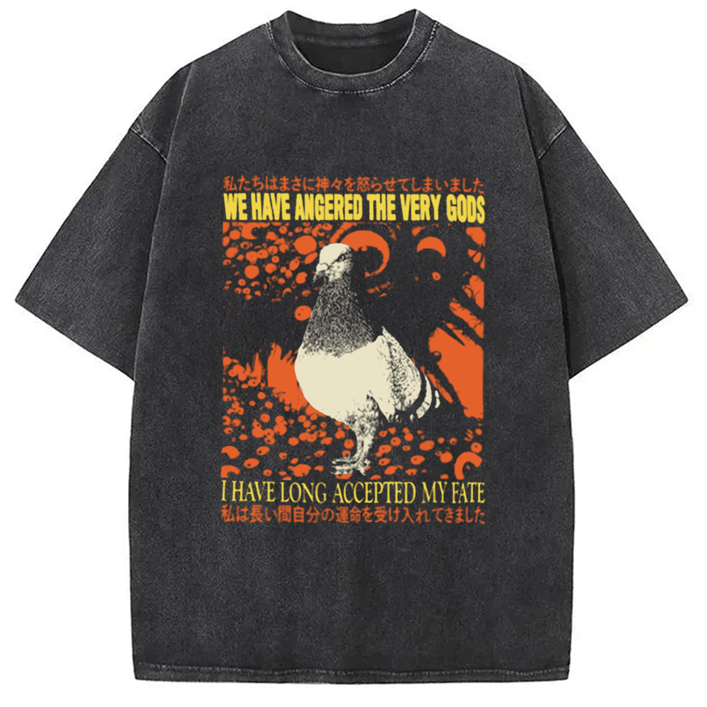 Modecanvas We Have Angered The Very Gods Washed T-Shirt