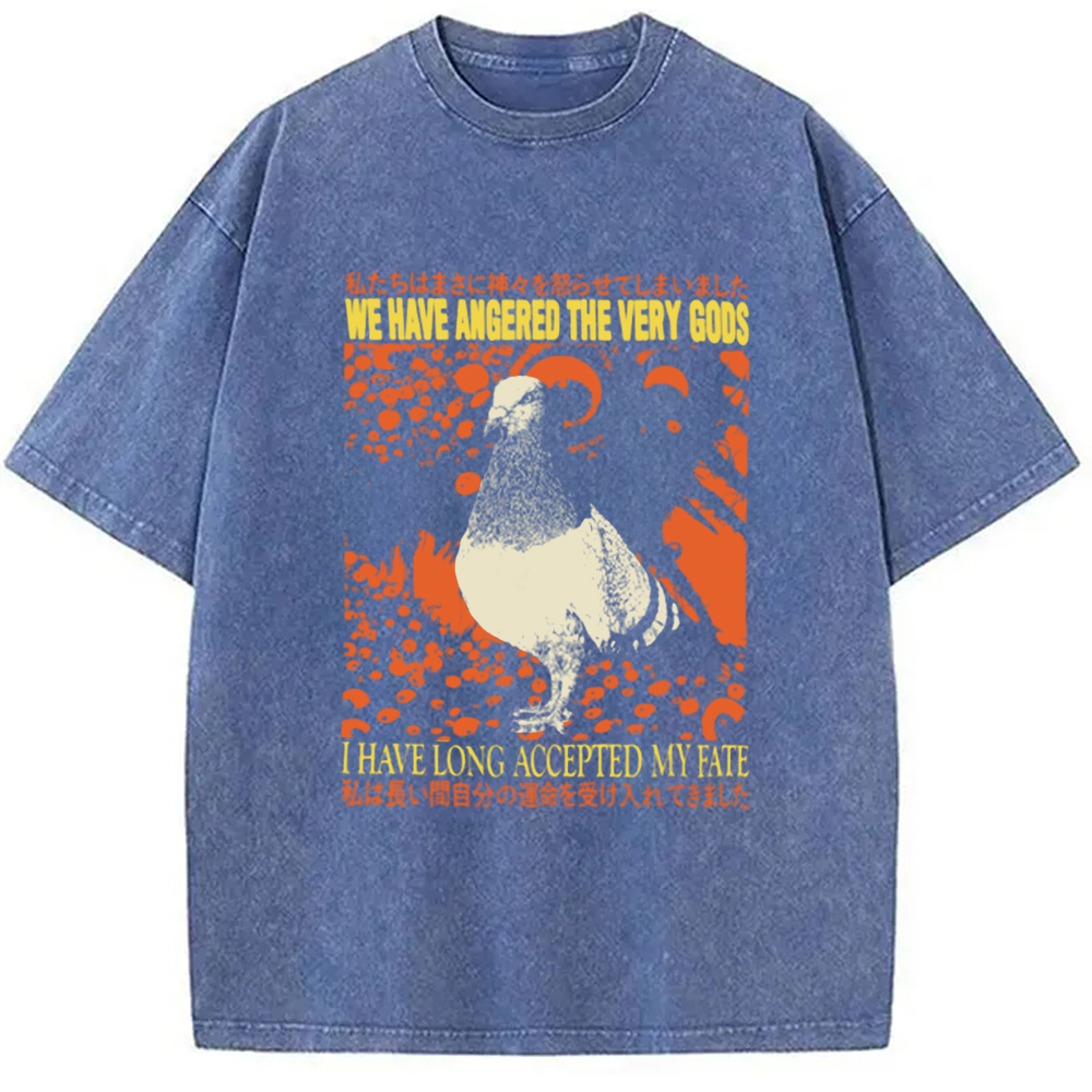 Modecanvas We Have Angered The Very Gods Washed T-Shirt