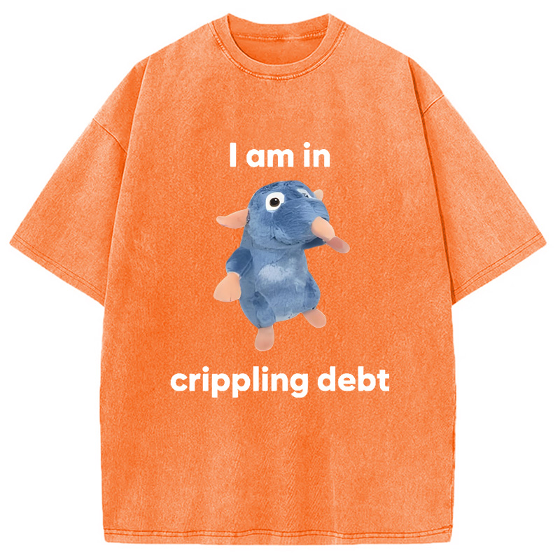 Modecanvas I Am in Crippling Debt Washed T-Shirt