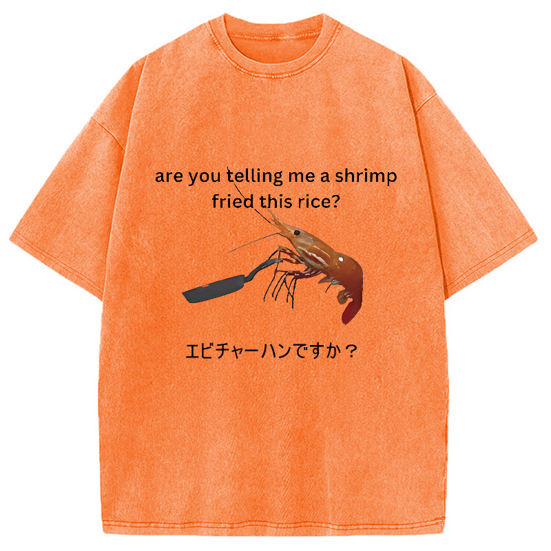 Modecanvas Are You Telling Me a Shrimp Fried This Rice Washed T-Shirt