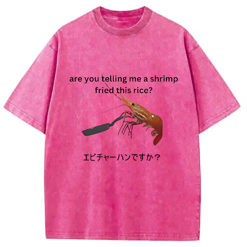Modecanvas Are You Telling Me a Shrimp Fried This Rice Washed T-Shirt