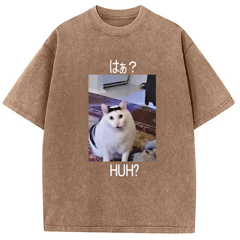 Modecanvas Huh? Funny Cat Meme Washed T-Shirt-modecanvas