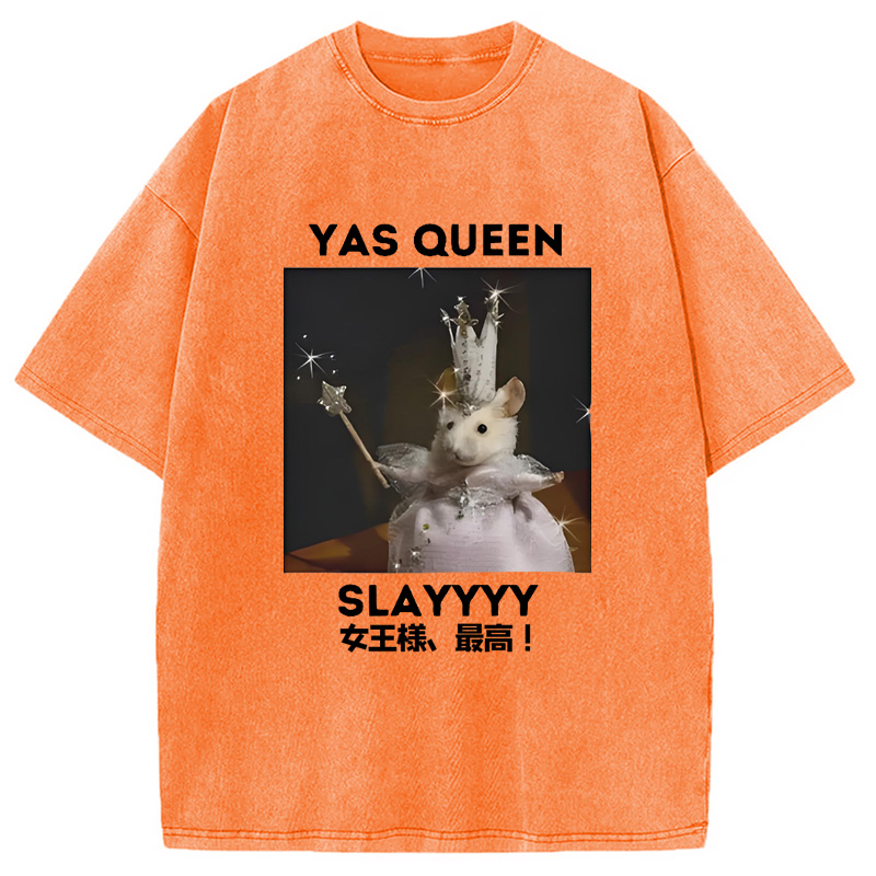 Modecanvas Yasss Queen Slay Meme Washed T-Shirt