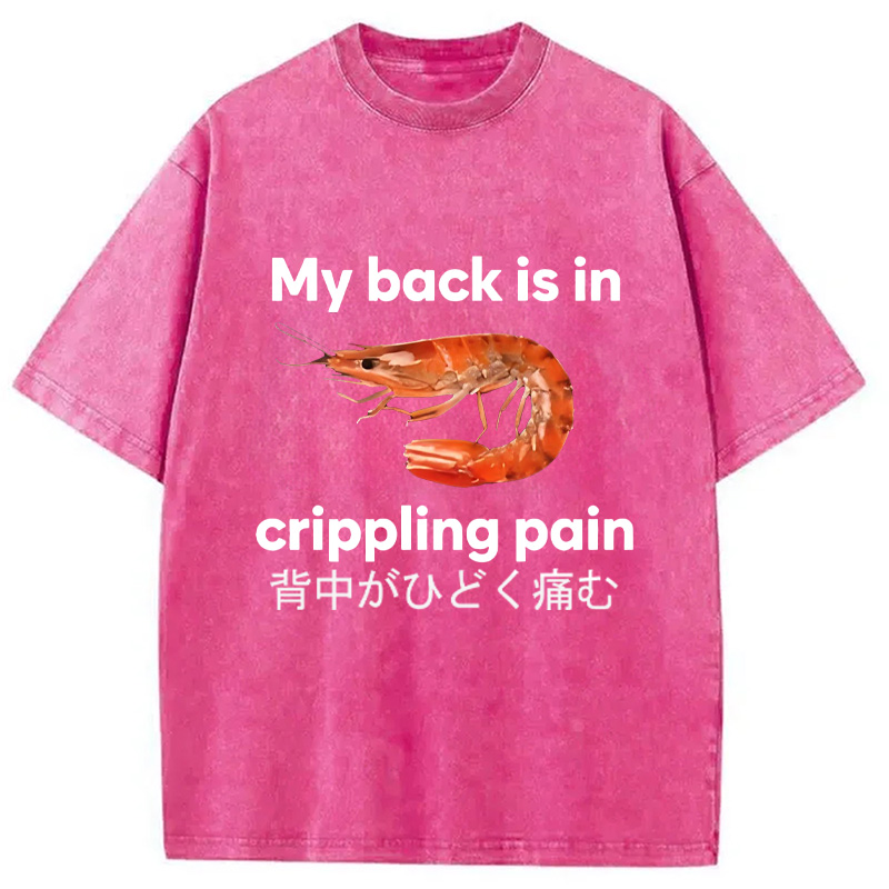 Modecanvas My Back Is in Crippling Pain Washed T-Shirt-modecanvas