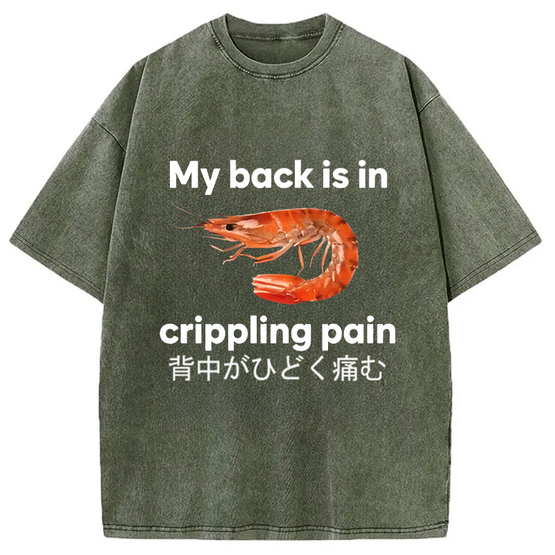 Modecanvas My Back Is in Crippling Pain Washed T-Shirt-modecanvas