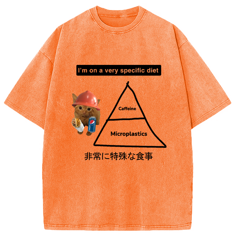 Modecanvas A Very Specific Diet Cat Meme Washed T-Shirt