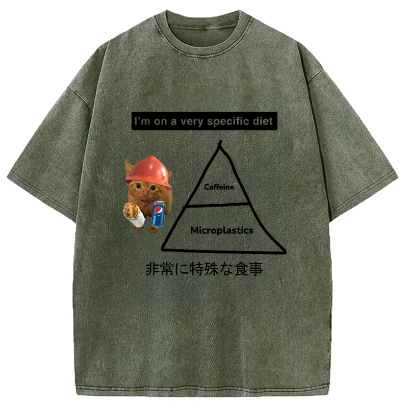 Modecanvas A Very Specific Diet Cat Meme Washed T-Shirt